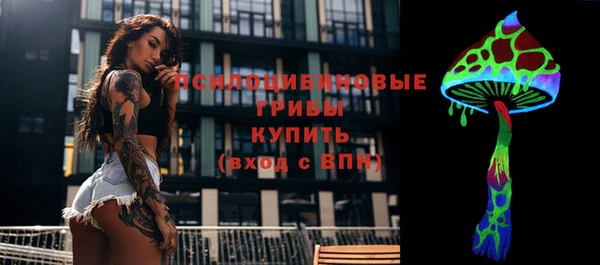 альфа пвп Нефтегорск