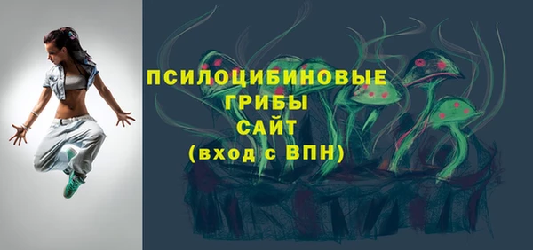 прущие грибы Нефтекумск