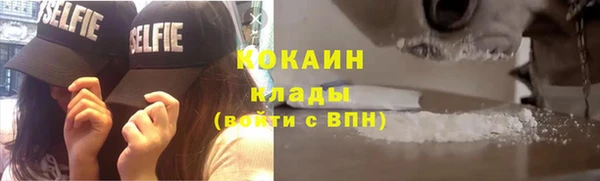 прущие грибы Нефтекумск