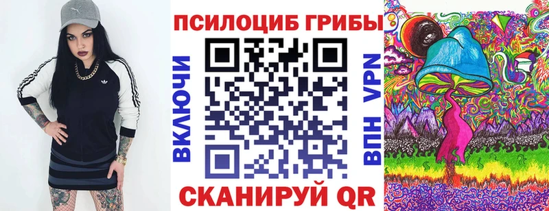 Псилоцибиновые грибы Cubensis  Краснослободск 